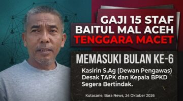 Enam Bulan Belum Terima Gaji Sepanjang Tahun 2026, Pengurus Baitul Mal Aceh Tenggara Pertanyakan Hak Mereka ke Pemda